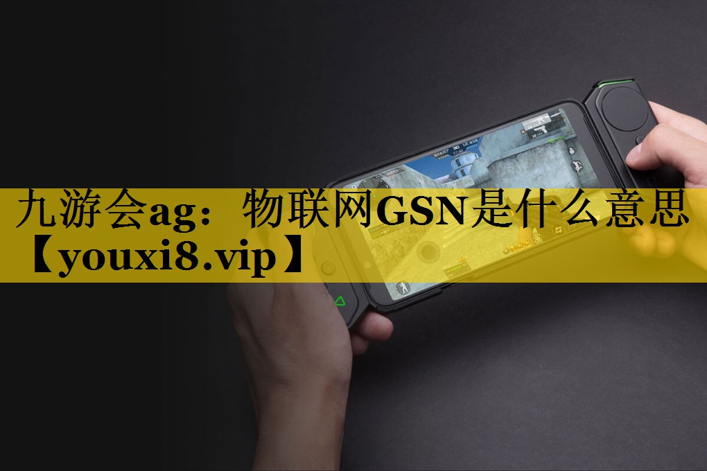 九游会ag：物联网GSN是什么意思