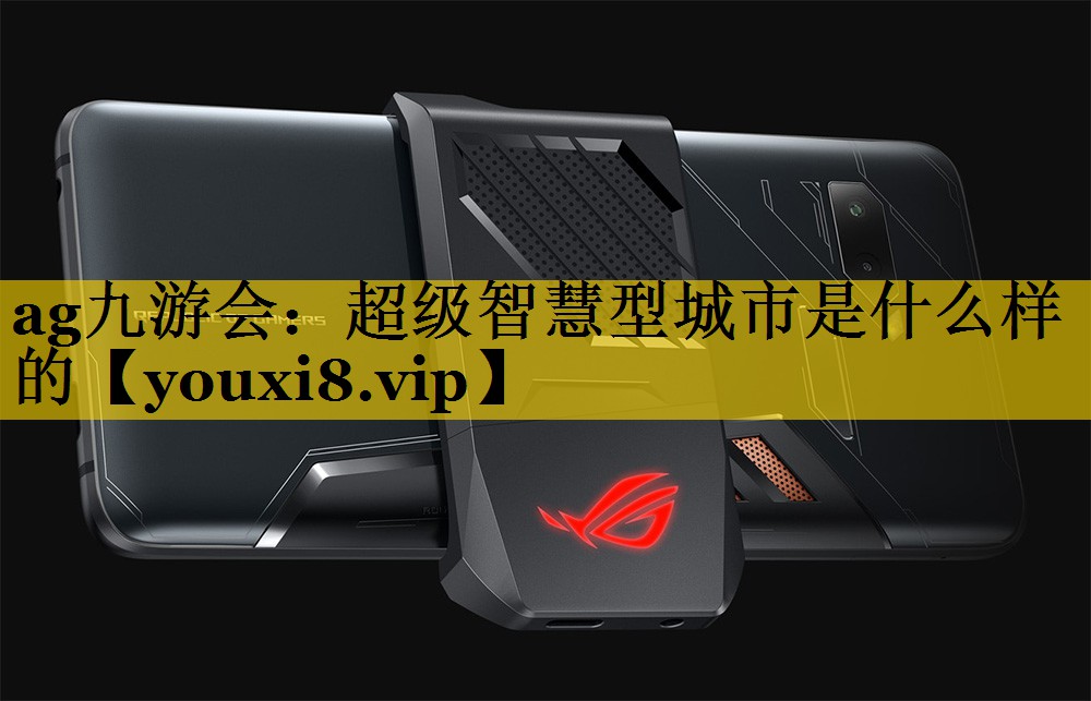ag九游会：超级智慧型城市是什么样的