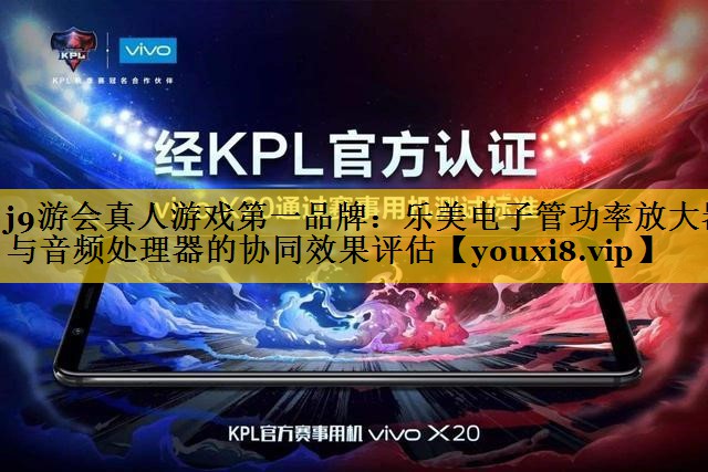 j9游会真人游戏第一品牌：乐美电子管功率放大器与音频处理器的协同效果评估