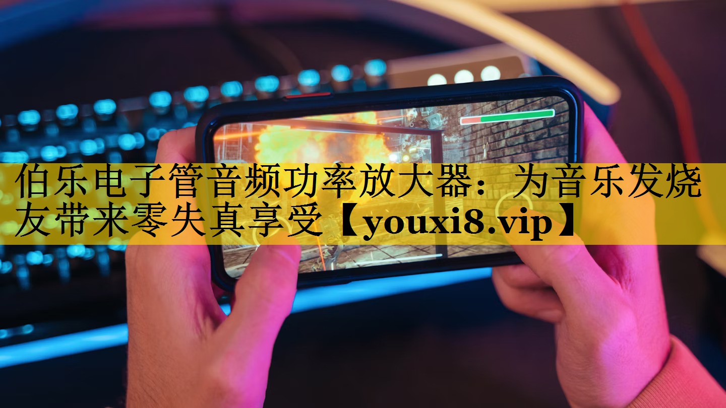 伯乐电子管音频功率放大器：为音乐发烧友带来零失真享受