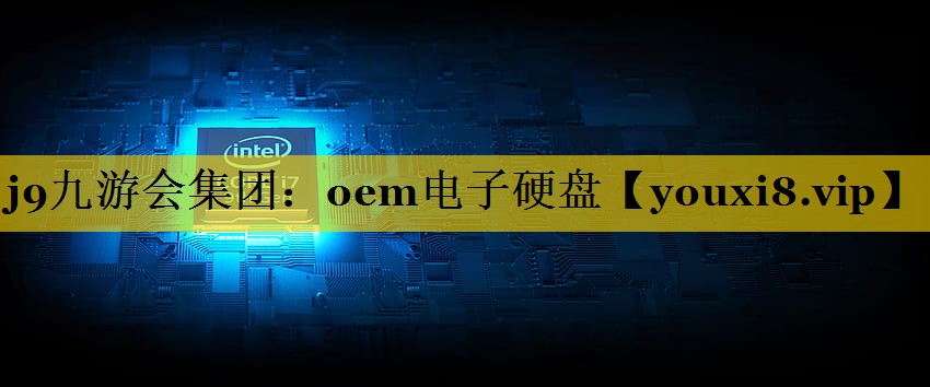 oem电子硬盘