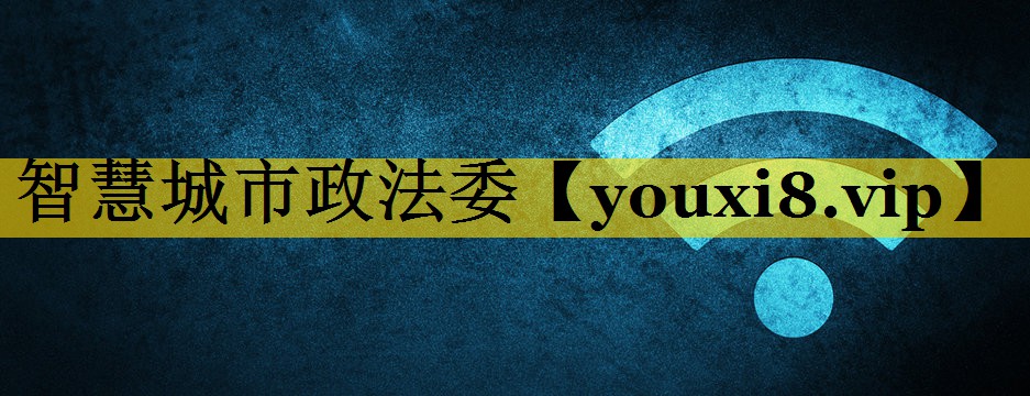 智慧城市政法委