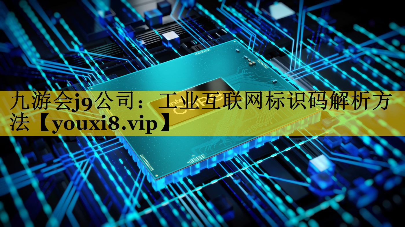 工业互联网标识码解析方法