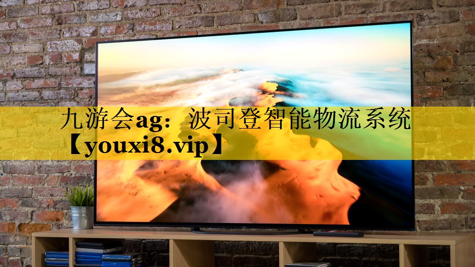 波司登智能物流系统 波司登智能物流系统