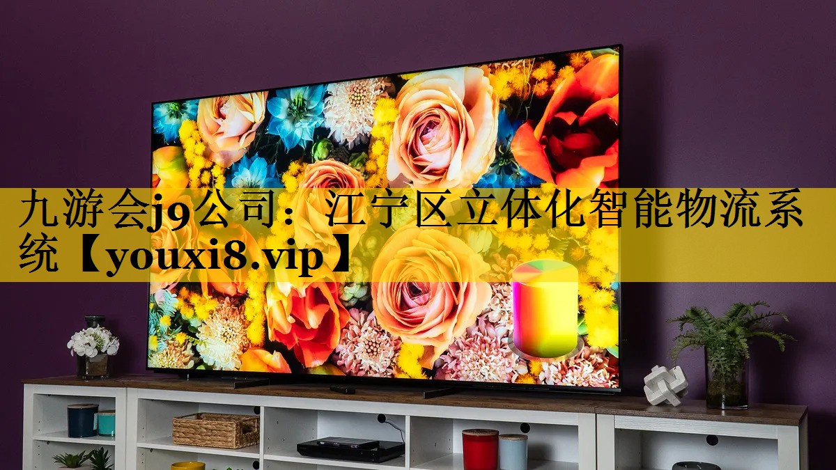 江宁区立体化智能物流系统 江宁区立体化智能物流系统