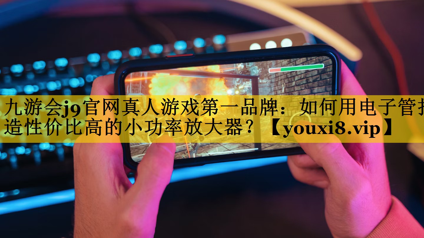 如何用电子管打造性价比高的小功率放大器? 如何用电子管打造性价比高的小功率放大器?