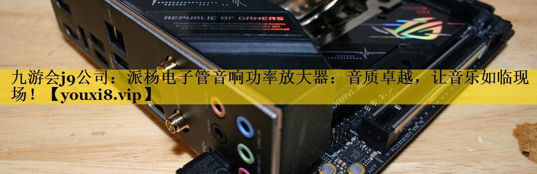 派杨电子管音响功率放大器:音质卓越,让音乐如临现场! 派杨电子管音响功率放大器:音质卓越,让音乐如临现场!